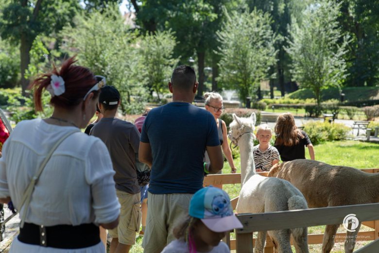 Piknik integracyjny w Parku Sybiraków