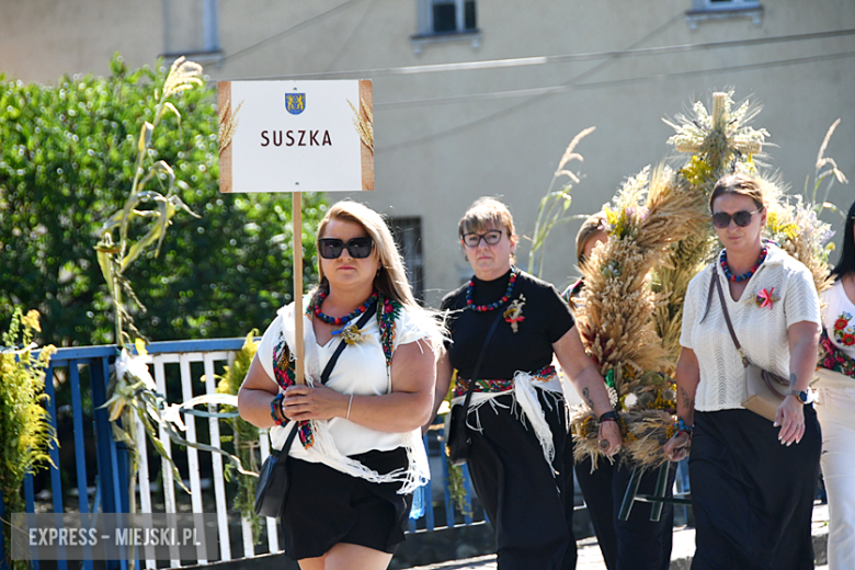 Święto plonów w Kamieńcu Ząbkowickim
