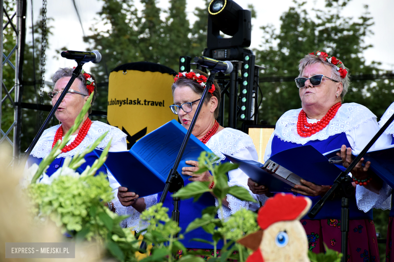 Dożynki gminne w Srebrnej Górze. Były obrzędy dożynkowe, wyścigi traktorów i Miły Pan