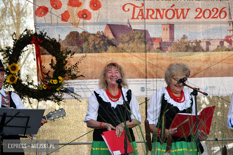 Międzynarodowe dożynki gminy Ząbkowice Śląskie w Tarnowie 