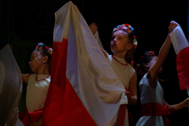 Program „Od Niepodległości do Wolności” w Ziębicach