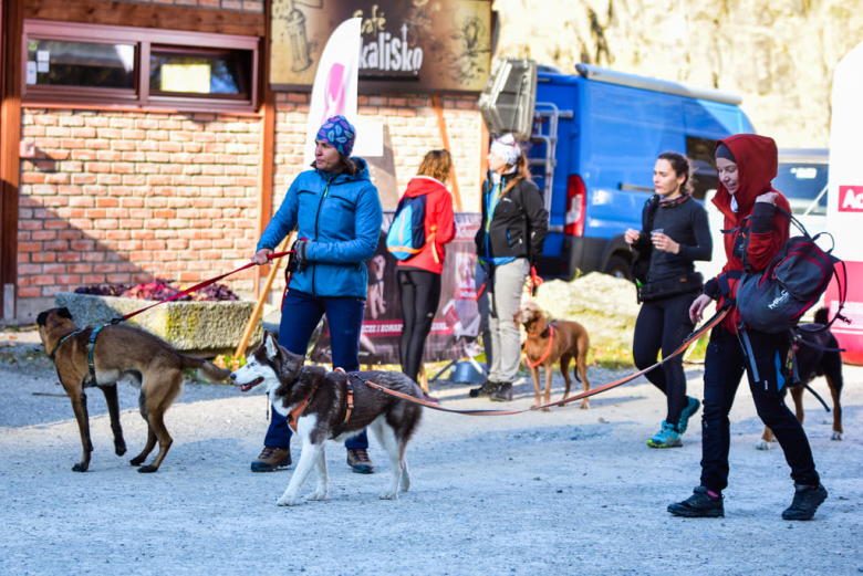 Puchar Polski w Dogtrekkingu