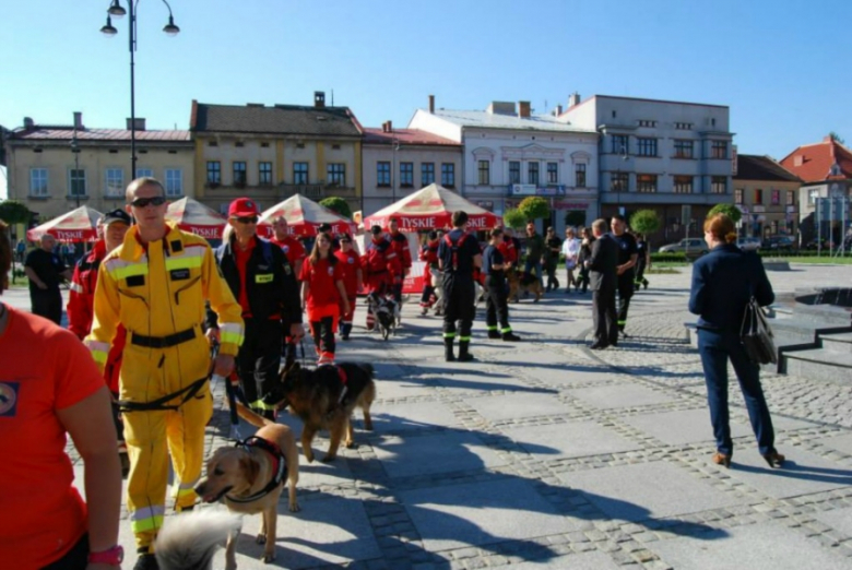 Warsztaty "KOZUBNIK 2013"