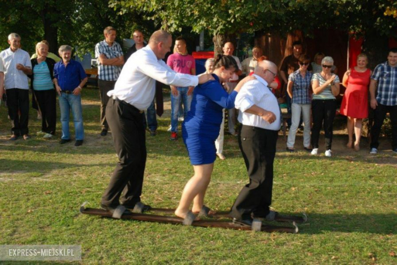 Dożynki w Brzeźnicy