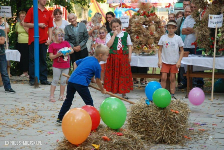 Dożynki w Brzeźnicy