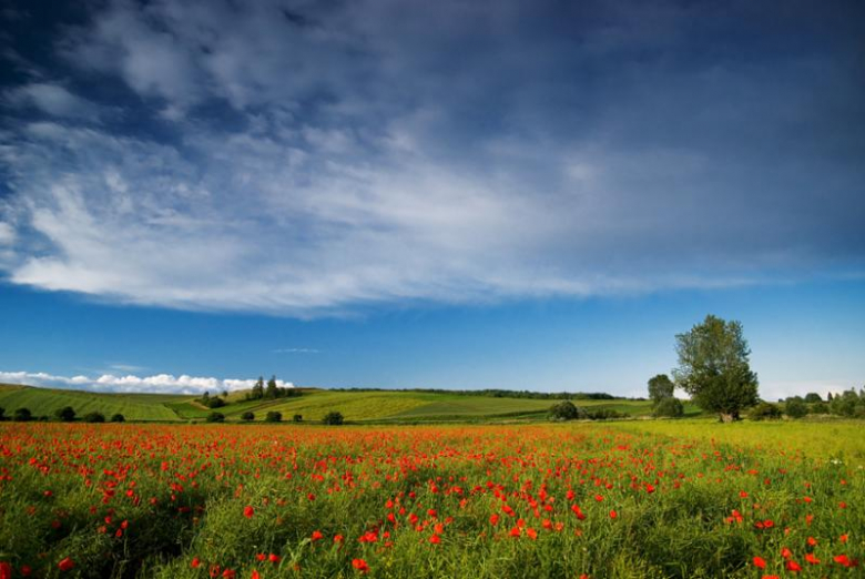 Uliczka Artystów