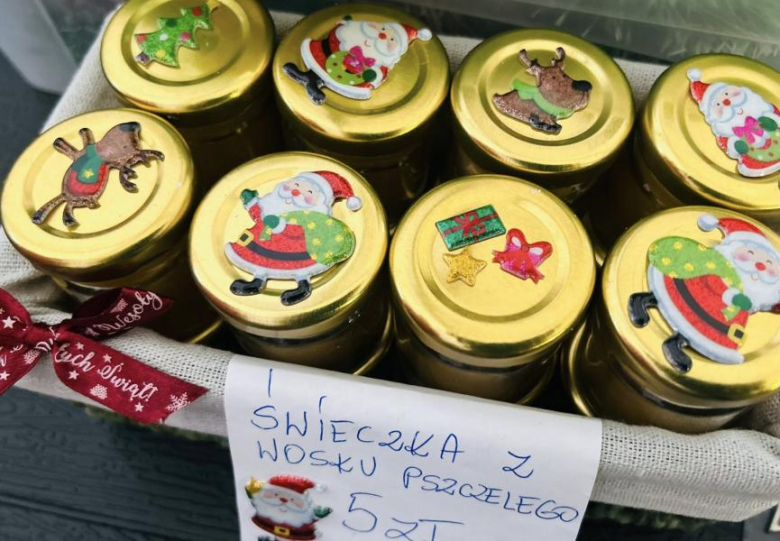 W Ziębicach można było poczuć magię świąt. Jarmark bożonarodzeniowy za nami [foto]