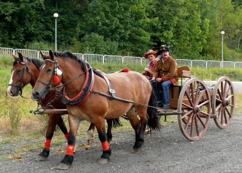 Parada zaprzęgów konnych złotostockimi ulicami