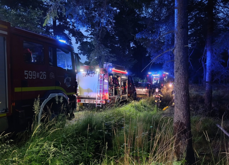 Pożar ściółki leśnej w Błotnicy