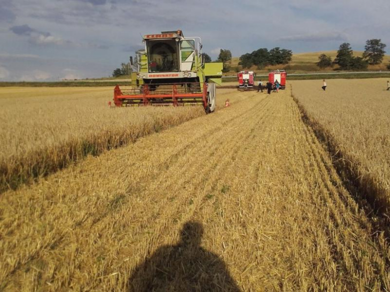 Pożar zboża w Sulisławicach