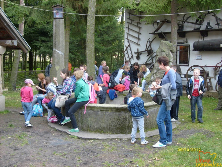 ziemiazabkowicka.pl