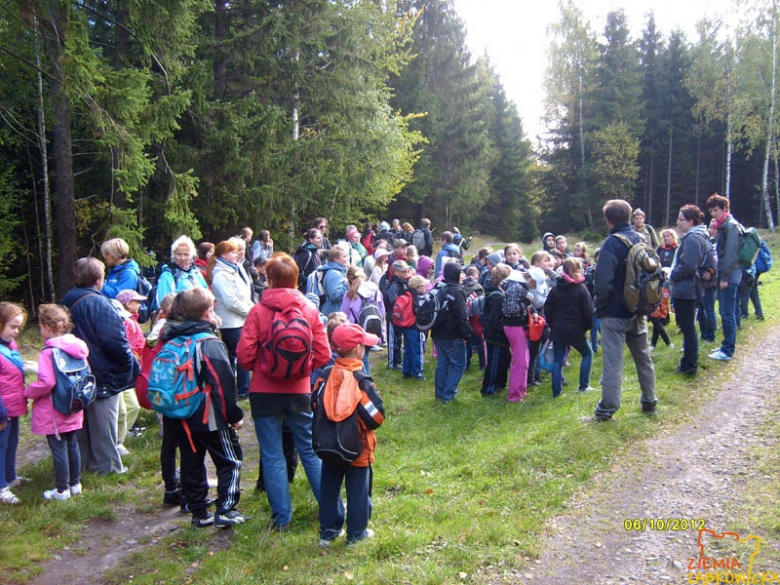 ziemiazabkowicka.pl