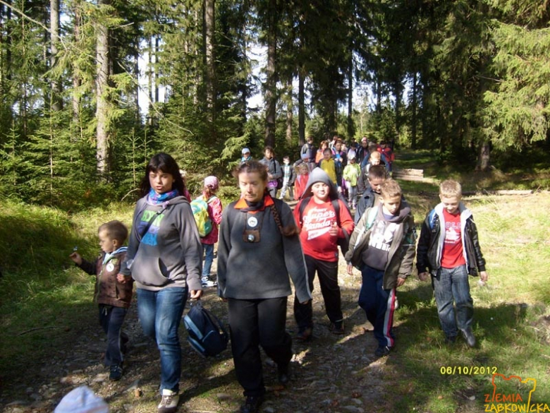 ziemiazabkowicka.pl