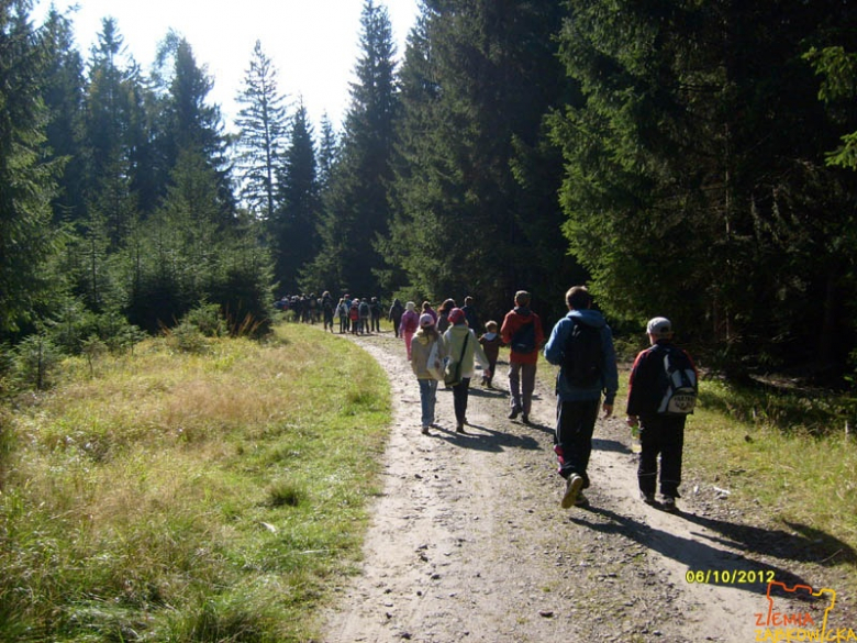 ziemiazabkowicka.pl