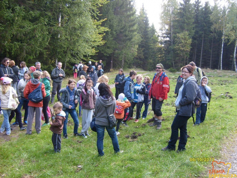 ziemiazabkowicka.pl