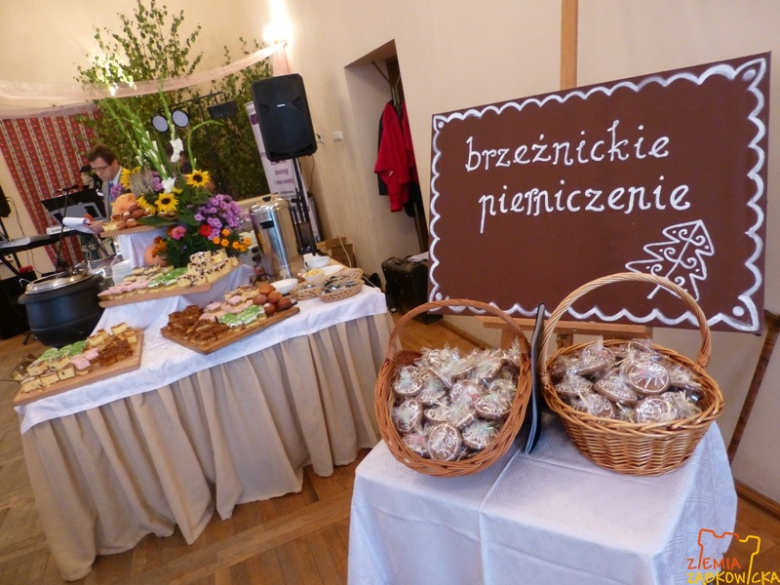 ziemiazabkowicka.pl