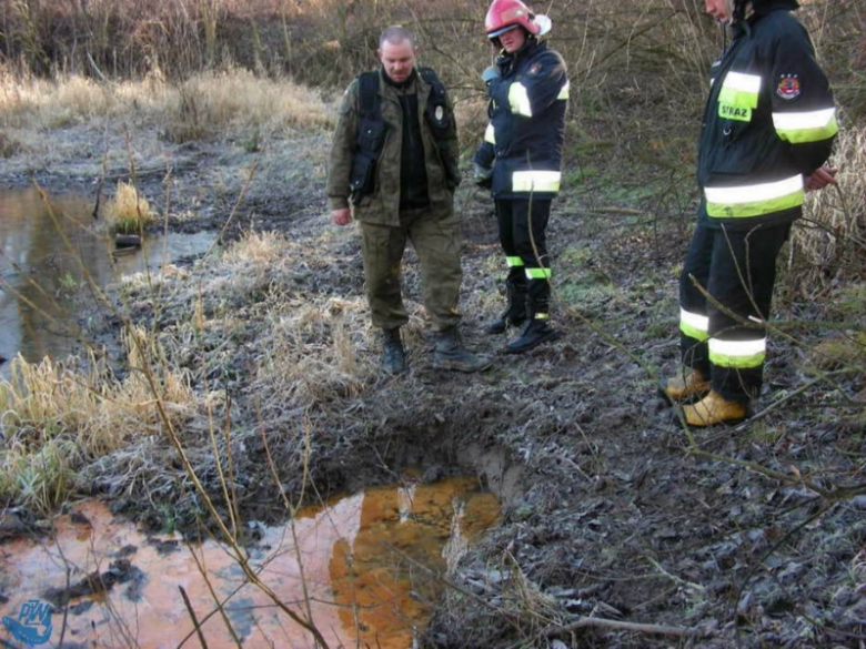 Okazało się, że zanieczyszczenie powstało w wyniku rozkładu biologicznego