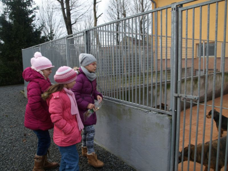 Podczas wizyty dzieci dowiedziały się m.in. jak funkcjonuje schronisko 