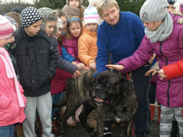 Podczas wizyty dzieci dowiedziały się m.in. jak funkcjonuje schronisko 