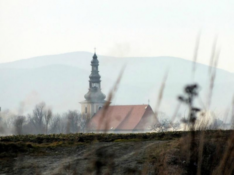 Z albumu: W zimowo styczniowym obiektywie