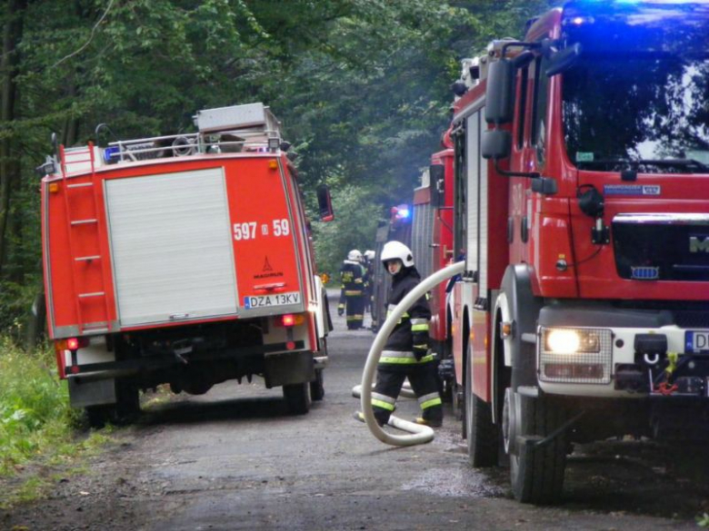 Pożar lasu w Witostowicach - ćwiczenia strażaków zorganizowane przez KP PSP Ząbkowice Śląskie wraz z Nadleśnictwem Henryków