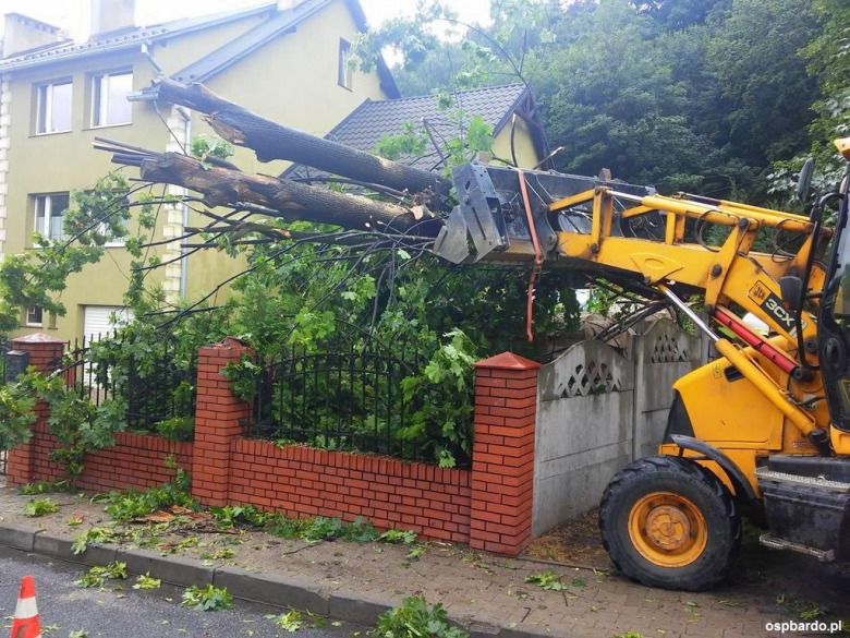 Powalone drzewo na ul. Krakowskiej