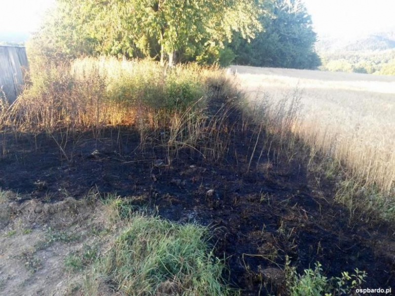 Pożar zauważył właściciel pobliskiego domu i pól. Przed przybyciem strażaków sam starał się gasić pożar przy pomocy węża ogrodowego