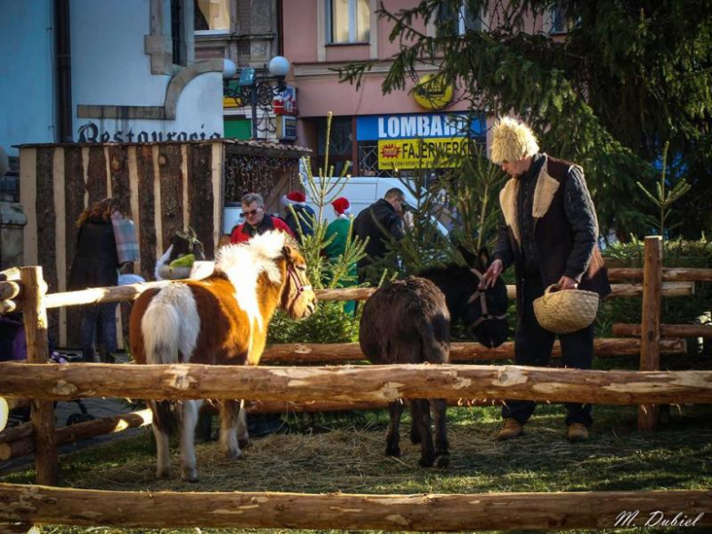 Jarmark Bożonarodzeniowy w Ziębicach