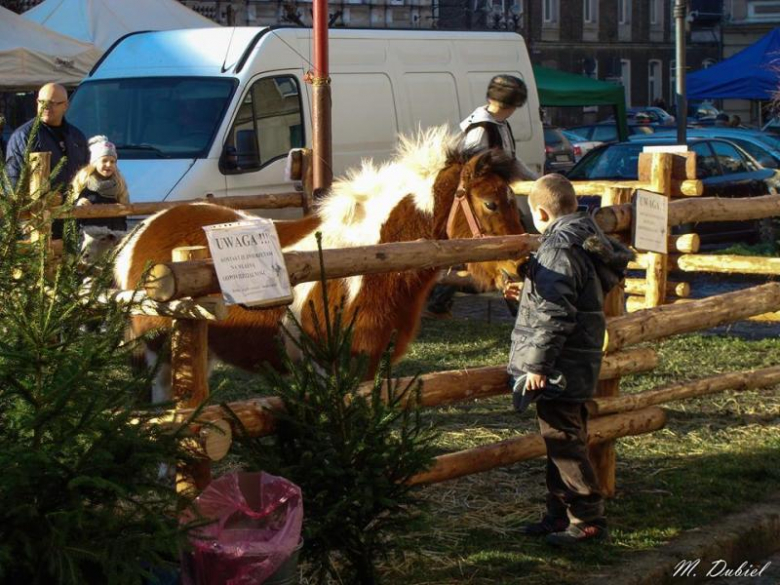 Jarmark Bożonarodzeniowy w Ziębicach