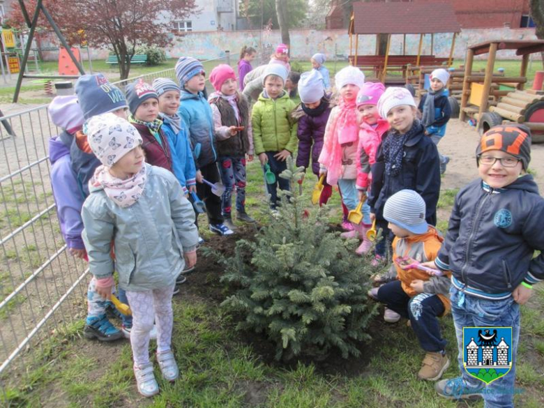 Gmina Ząbkowice Śląskie w akcji „Zielona Gmina”