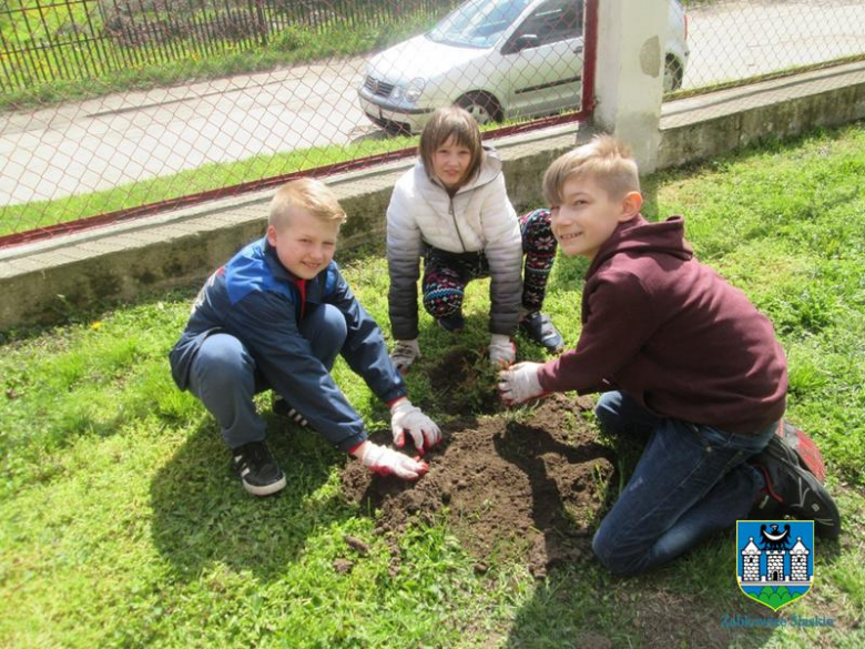 Gmina Ząbkowice Śląskie w akcji „Zielona Gmina”