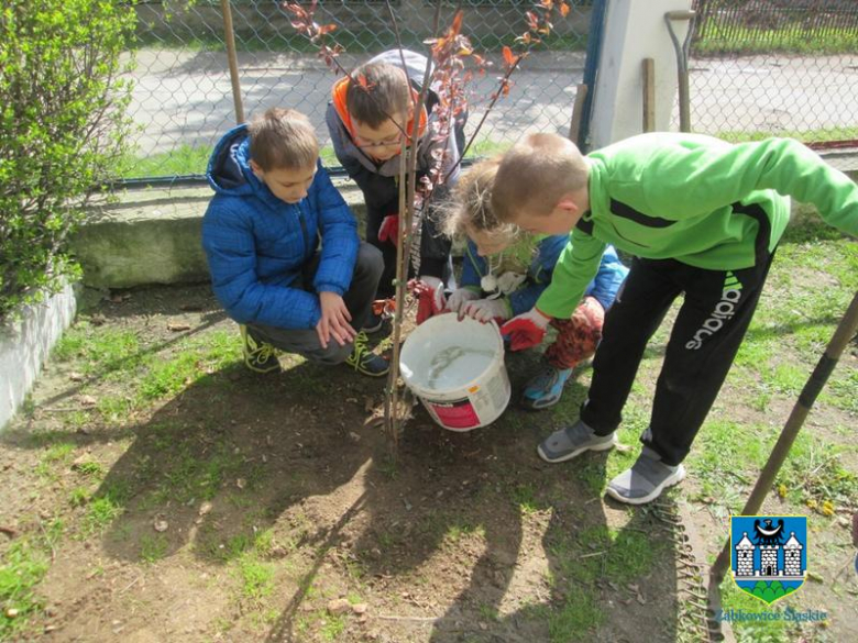 Gmina Ząbkowice Śląskie w akcji „Zielona Gmina”