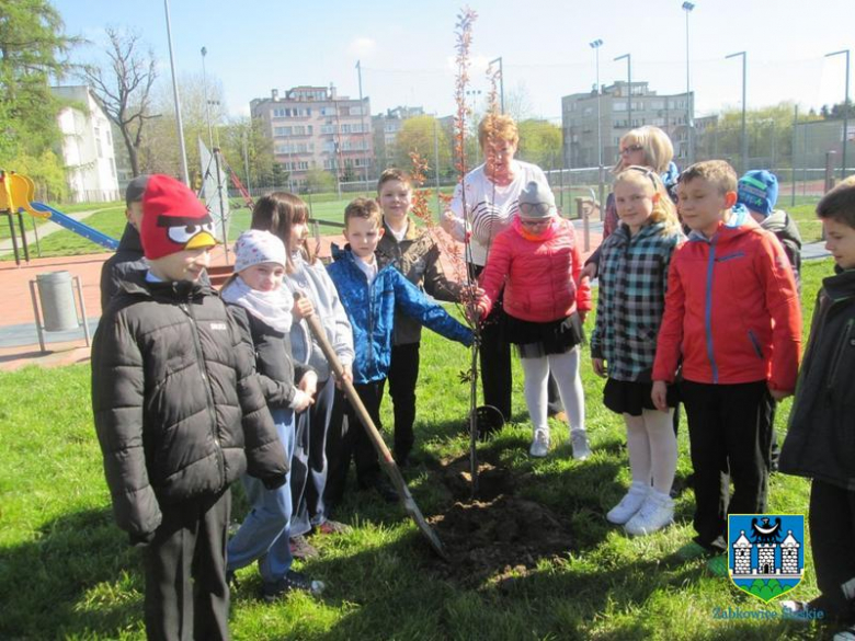 Gmina Ząbkowice Śląskie w akcji „Zielona Gmina”