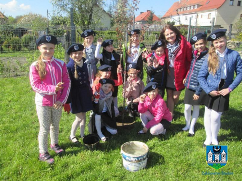 Gmina Ząbkowice Śląskie w akcji „Zielona Gmina”