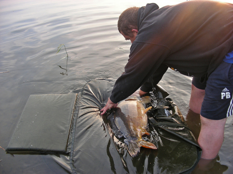 Frankenstein Carp Meeting - Kozielno 2016