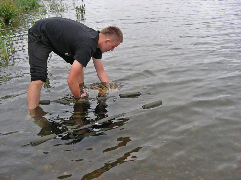 Frankenstein Carp Meeting - Kozielno 2016