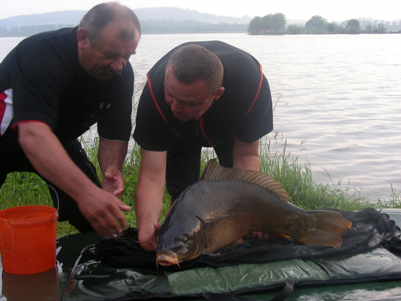 Frankenstein Carp Meeting - Kozielno 2016