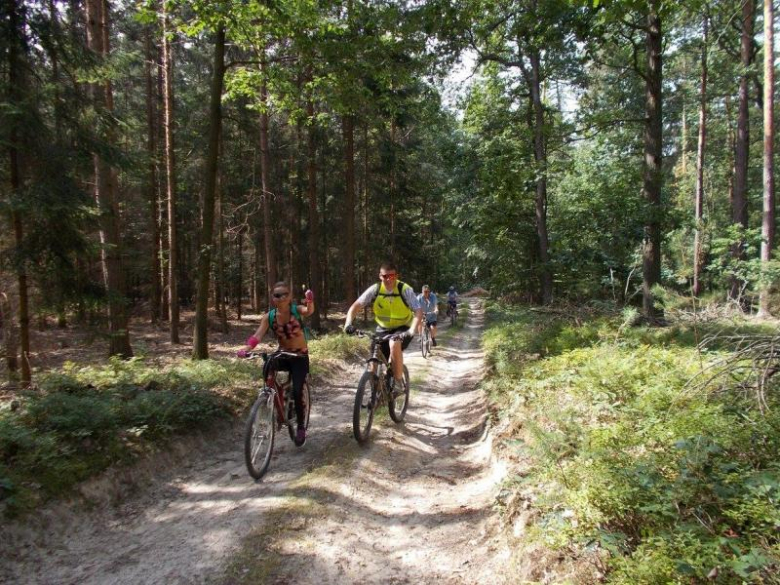 12 Rekreacyjny Rajd Rowerowy zorganizowany przez gminę Ziębice