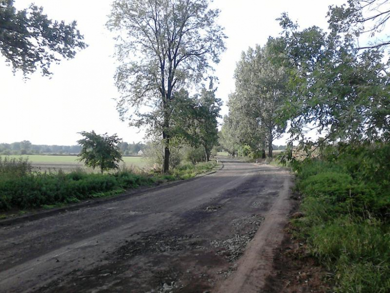 Wyremontowali kolejny odcinek drogi wojewódzkiej w gminie Ziębice