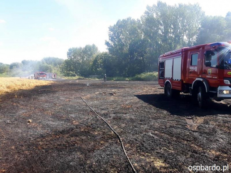 Pożar zboża na pniu w Przyłęku