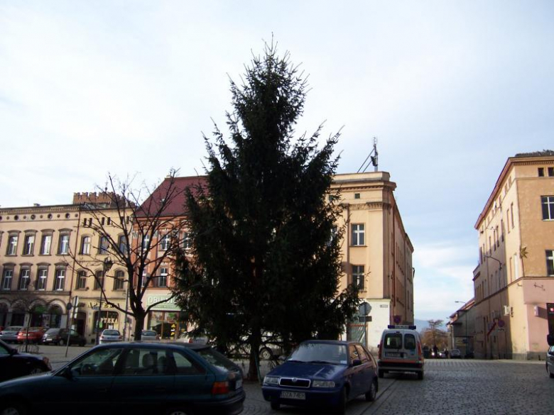 Choinka w ząbkowickim Rynku