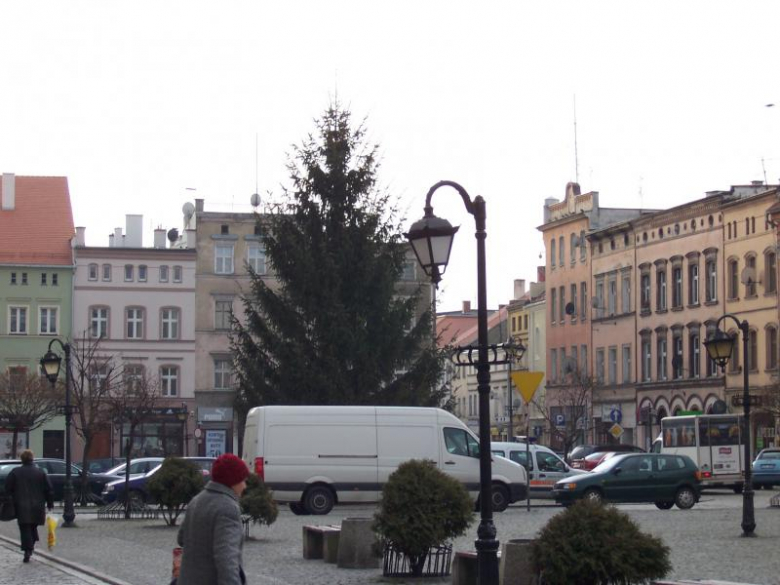 Choinka w ząbkowickim Rynku