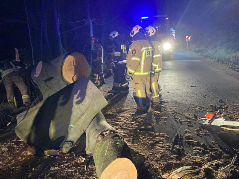 	Silny wiatr. Strażacy usuwają z jezdni powalone drzewa