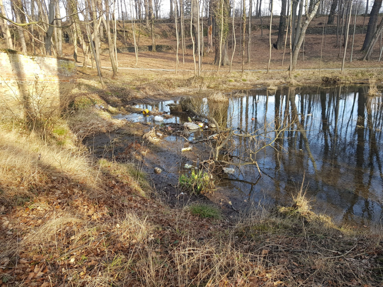 Akty wandalizmu na terenie kompleksu pałacowo-parkowego