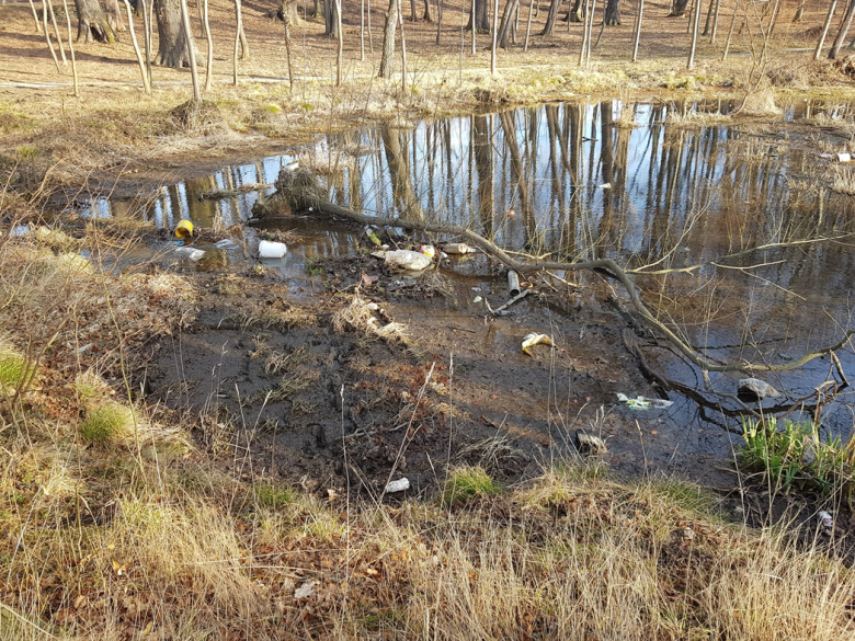 Akty wandalizmu na terenie kompleksu pałacowo-parkowego