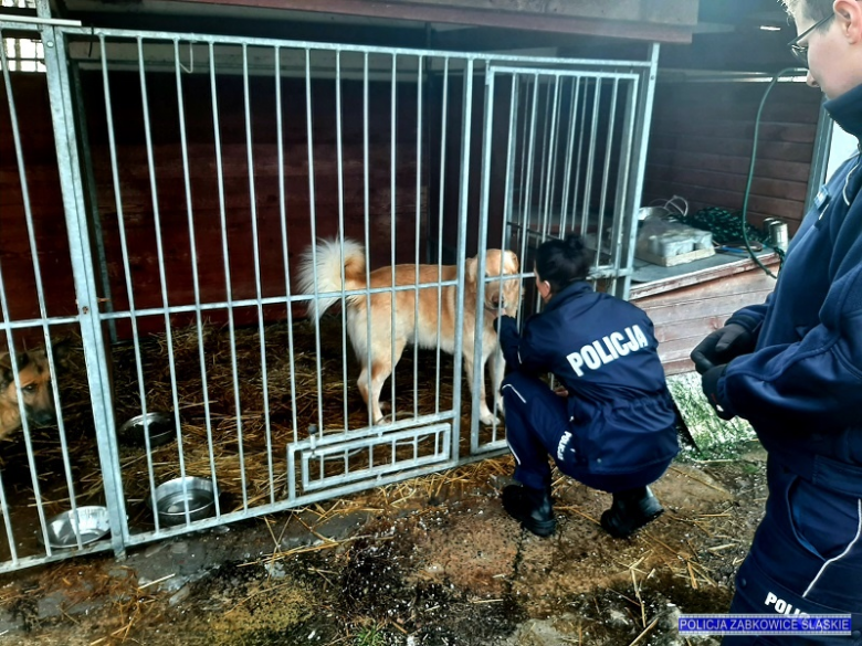 Dziś wyjątkowy dzień. Kobiety w policji również świętują, w naszym powiecie służy ich dwadzieścia