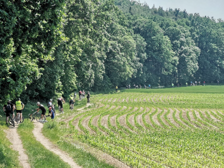 Rajd śladem Księstwa Ziębickiego i cysterskich zabytków