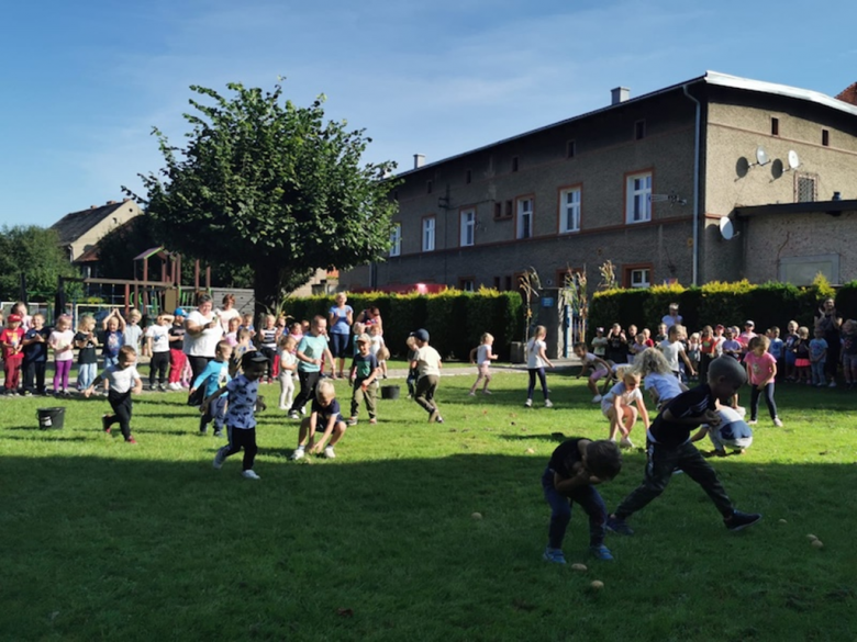 Święto pieczonego ziemniaka w przedszkolu nr 1 w Kamieńcu Ząbkowickim