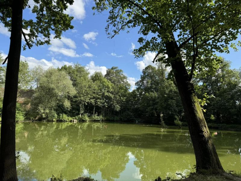 Muzyka i poezja w magicznej scenerii w Grodziszczu