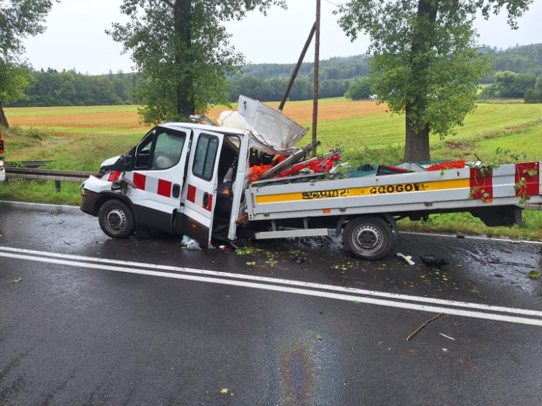 Drzewo spadło na busa na drodze między Złotym Stokiem a Kłodzkiem. Nie żyje jedna osoba [foto]